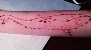 Blue Whale
