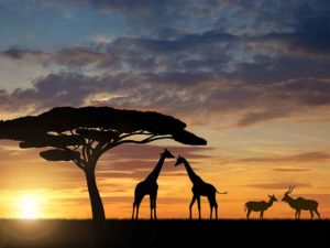 sudafrica