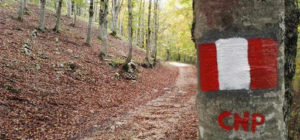 Cammino Naturale dei Parchi